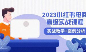 2023小红书-电商高级实战课程，实战教学 案例分析（38节课）