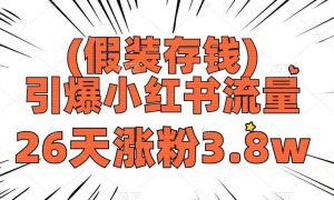 假装存钱，引爆小红书流量， 26天涨粉3.8w，作品制作简单，多种变现方式