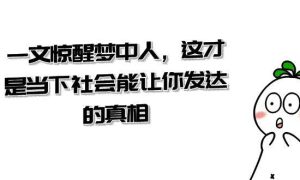 某公众号付费文章《一文 惊醒梦中人，这才是当下社会能让你发达的真相》