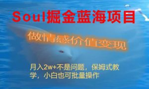 Soul掘金蓝海项目细分赛道，做情感价值变现，月入2w 不是问题