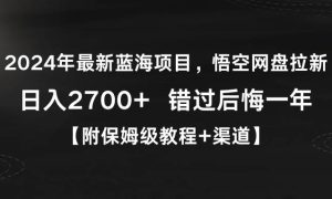 2024年最新蓝海项目，悟空网盘拉新，日入2700 错过后悔一年【附保姆级教…