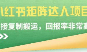 小红书矩阵达人项目，直接复制搬运，回报率非常高