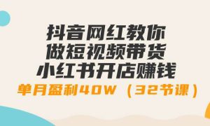 抖音网红教你做短视频带货 小红书开店赚钱，单月盈利40W（32节课）