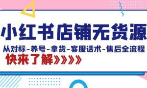 小红书店铺无货源：从对标-养号-拿货-客服话术-售后全流程（20节课）