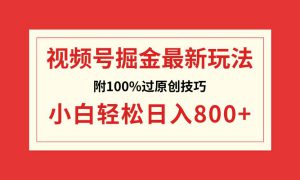 视频号掘金，小白轻松日入800 （附100%过原创技巧）