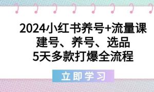 2024小红书养号 流量课：建号、养号、选品，5天多款打爆全流程