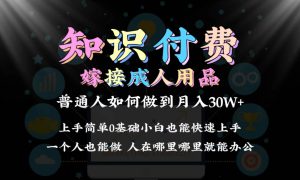 2024普通人做知识付费结合成人用品如何实现单月变现30w保姆教学1.0