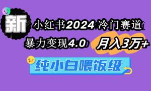 小红书2024冷门赛道 月入3万  暴力变现4.0 纯小白喂饭级