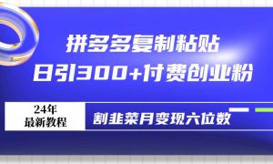 拼多多复制粘贴日引300 付费创业粉，割韭菜月变现六位数最新教程！