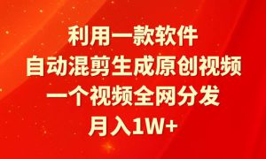 利用一款软件，自动混剪生成原创视频，一个视频全网分发，月入1W 附软件