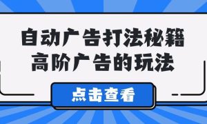 A lice自动广告打法秘籍，高阶广告的玩法