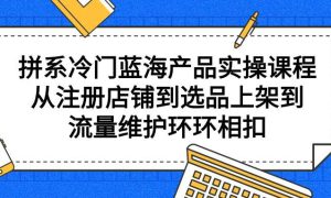 拼系冷门蓝海产品实操课程，从注册店铺到选品上架到流量维护环环相扣