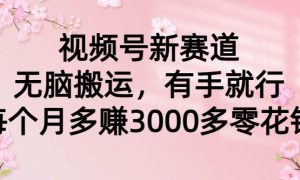 视频号新赛道，无脑搬运，有手就行，每个月多赚3000多零花钱