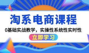 淘系电商课程，0基础实战教学，实操性系统性实时性（15节课）