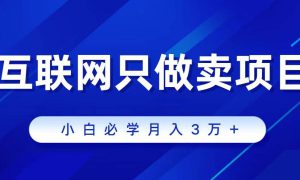 互联网的尽头就是卖项目，被割过韭菜的兄弟们必看！轻松月入三万以上！