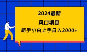 2024最新风口项目 新手小白日入2000