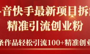 2024年抖音快手最新项目拆解视频引流创业粉，一天轻松引流精准创业粉100