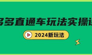 多多直通车玩法实战课，2024新玩法（7节课）