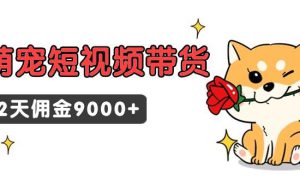 东哲日记·萌宠短视频带货，2天佣金9000