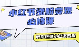 小红书涨粉变现必修课，带你玩赚小红书变现（9节课）