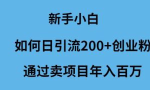 新手小白如何日引流200 创业粉通过卖项目年入百万