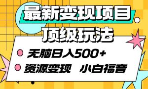 最新变现项目顶级玩法 无脑日入500  资源变现 小白福音