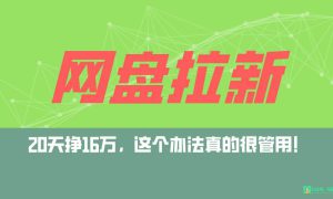 网盘拉新 私域全自动玩法，0粉起号，小白可做，当天见收益，已测单日破5000