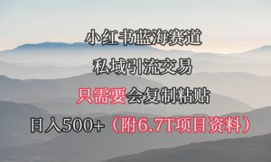 小红书短剧赛道，私域引流交易，会复制粘贴，日入500 （附6.7T短剧资源）