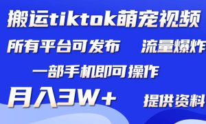 搬运Tiktok萌宠类视频，一部手机即可。所有短视频平台均可操作，月入3W