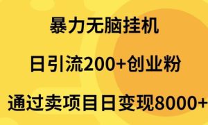 暴力无脑挂机日引流200 创业粉通过卖项目日变现2000