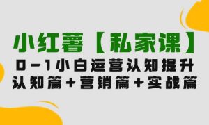 小红薯【私家课】0-1玩赚小红书内容营销，认知篇 营销篇 实战篇（11节课）