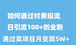 如何通过付费投流日引流100 创业粉月变现5W