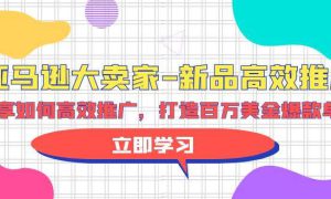 亚马逊 大卖家-新品高效推广，分享如何高效推广，打造百万美金爆款单品