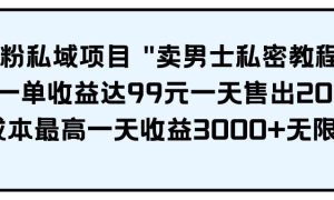 男粉私域项目 卖男士私密教程 每一单收益达99元一天售出20单