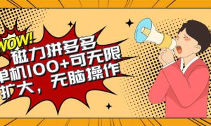 2024最新玩法，磁力单机100 ，无脑操作，可无限扩大。别再错失机会了!!!