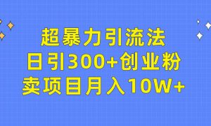 超暴力引流法，日引300 创业粉，卖项目月入10W