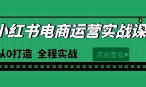 最新小红书·电商运营实战课，从0打造  全程实战（65节视频课）