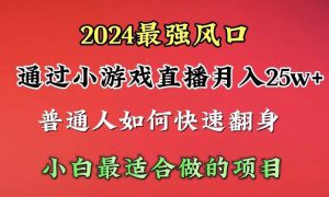 2024年最强风口，通过小游戏直播月入25w 单日收益5000 小白最适合做的项目