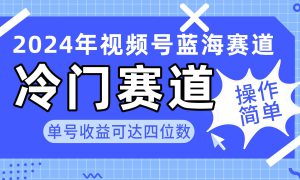 2024视频号冷门蓝海赛道，操作简单 单号收益可达四位数（教程 素材 工具）