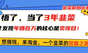 悟了，当了3年韭菜，才发现网赚圈年赚100万的核心是卖项目，含泪分享！