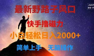 最新风口！快手撸磁力，野路子，小白无脑操作日入2000