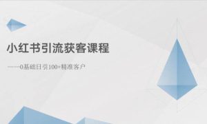 小红书引流获客课程：0基础日引100 精准客户