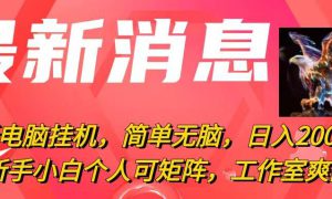 最新电脑挂机，简单无脑，日入2000 适合新手小白个人可矩阵，工作室模…