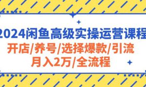 2024闲鱼高级实操运营课程：开店/养号/选择爆款/引流/月入2万/全流程