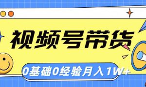 视频号轻创业带货，零基础，零经验，月入1w