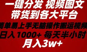 2024年 一键分发带货图文视频  简单易上手 无脑赚收益 每天半小时日入1…