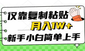 仅靠复制粘贴，被动收益，轻松月入1w ，新手小白秒上手，互联网风口项目