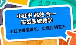 小红书 品效 合一实战系统教学：小红书爆发增长，实现月销百万 (59节)