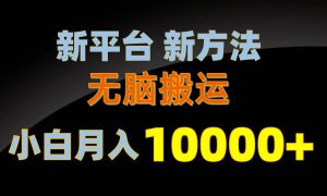 新平台新方法，无脑搬运，月赚10000 ，小白轻松上手不动脑