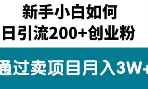 新手小白日引流200 创业粉,通过卖项目月入3W